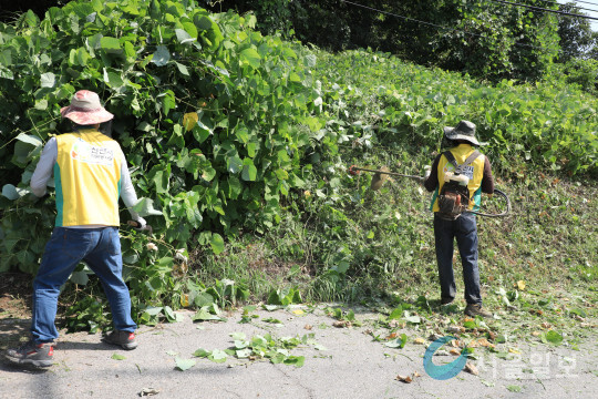 신천지 자원봉사단 17명은 경기 청평면 고성리 마을 길 주변 약 2.5km 제초 작업을 실시했다.(사진/신천지 자원봉사단)