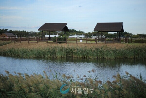 시흥갯벌생태공원 (사진/최윤지 기자)