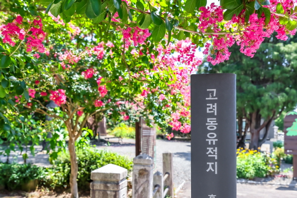 고려동 유적지, 붉게 핀 배롱나무와 어우러진 고즈넉한 풍경 (사진/함안군) 