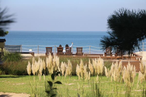 ‘걷는 길마다 가을이 펼쳐진다…’  (사진/천리포수목원) 