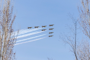 여의도 봄꽃축제 상공 블랙이글스 축하비행 관련 이미지